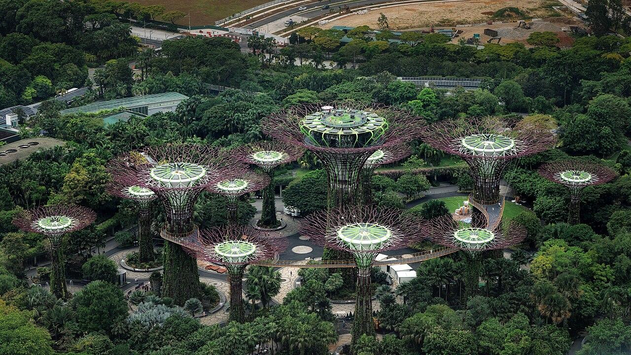 Supertree Grove at Gardens by the Bay in Singapore