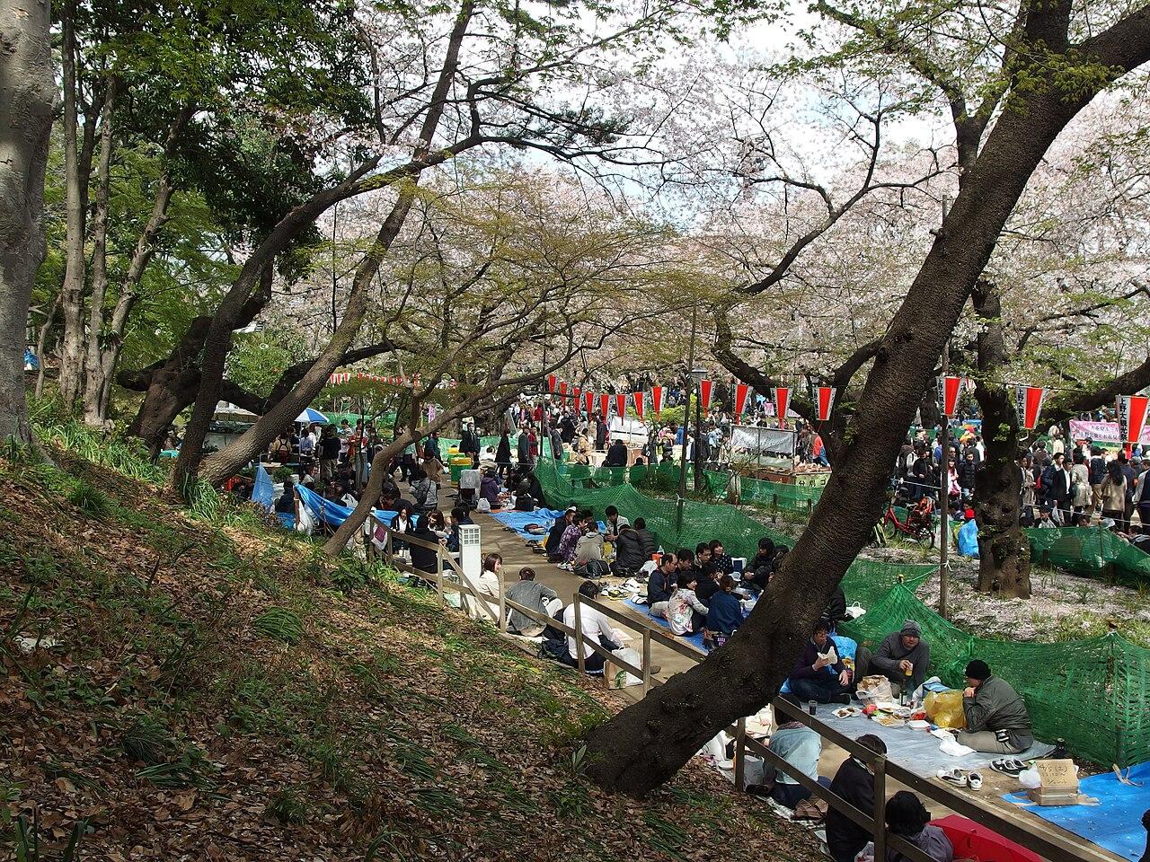Cherry blossom festival crowds along the main path in Ueno Park, Tokyo