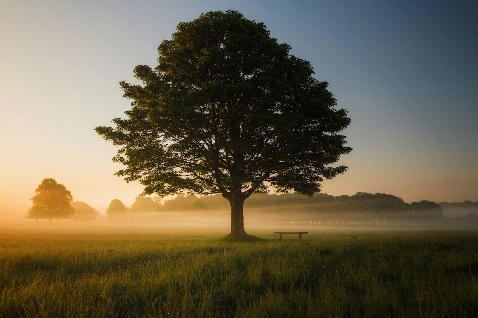 Wat Arun and the Chao Phraya River in Bangkok