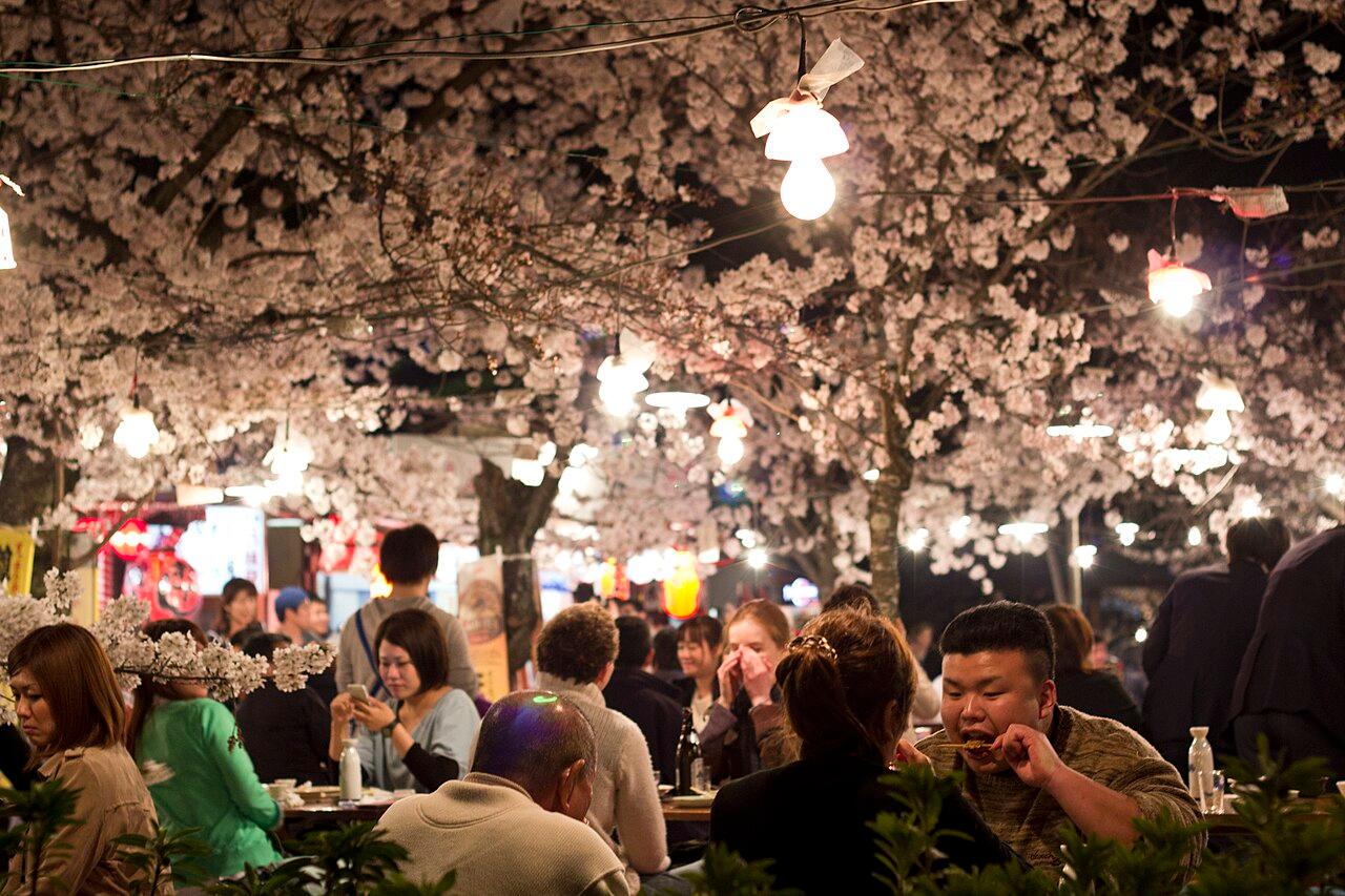 Hanami visitors under cherry trees in Maruyama Park, Kyoto