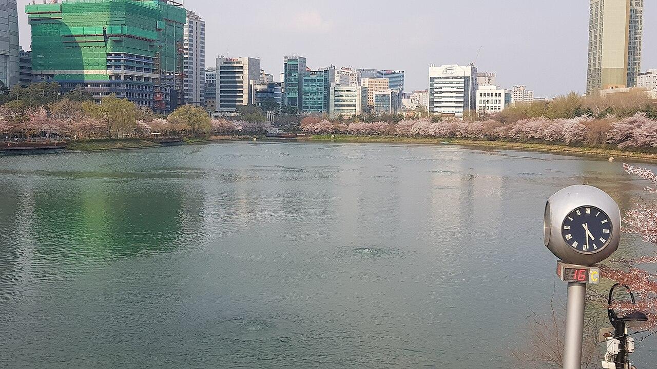 Cherry trees around Seokchon Lake in Seoul