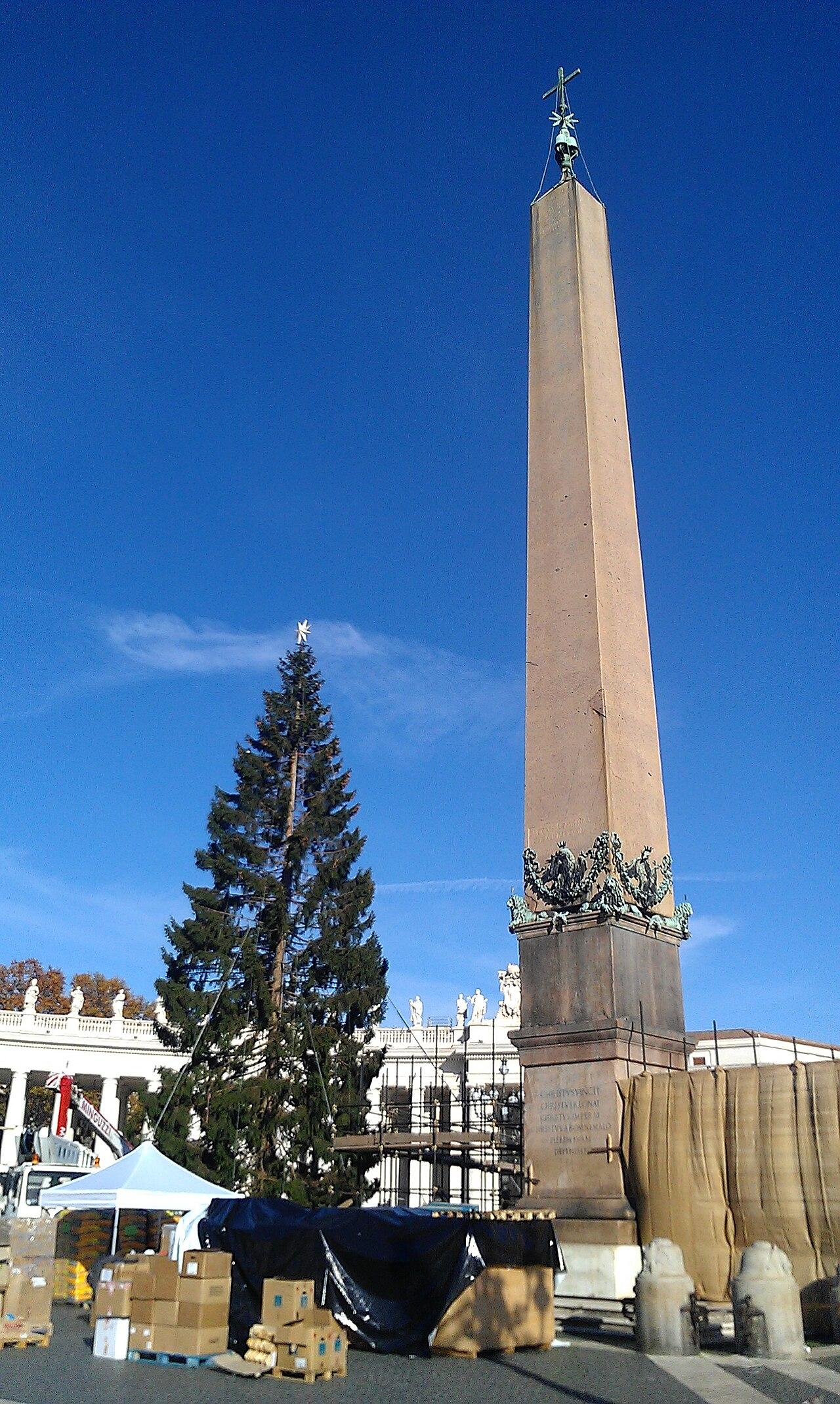 Christmas tree and obelisk in St Peter's Square