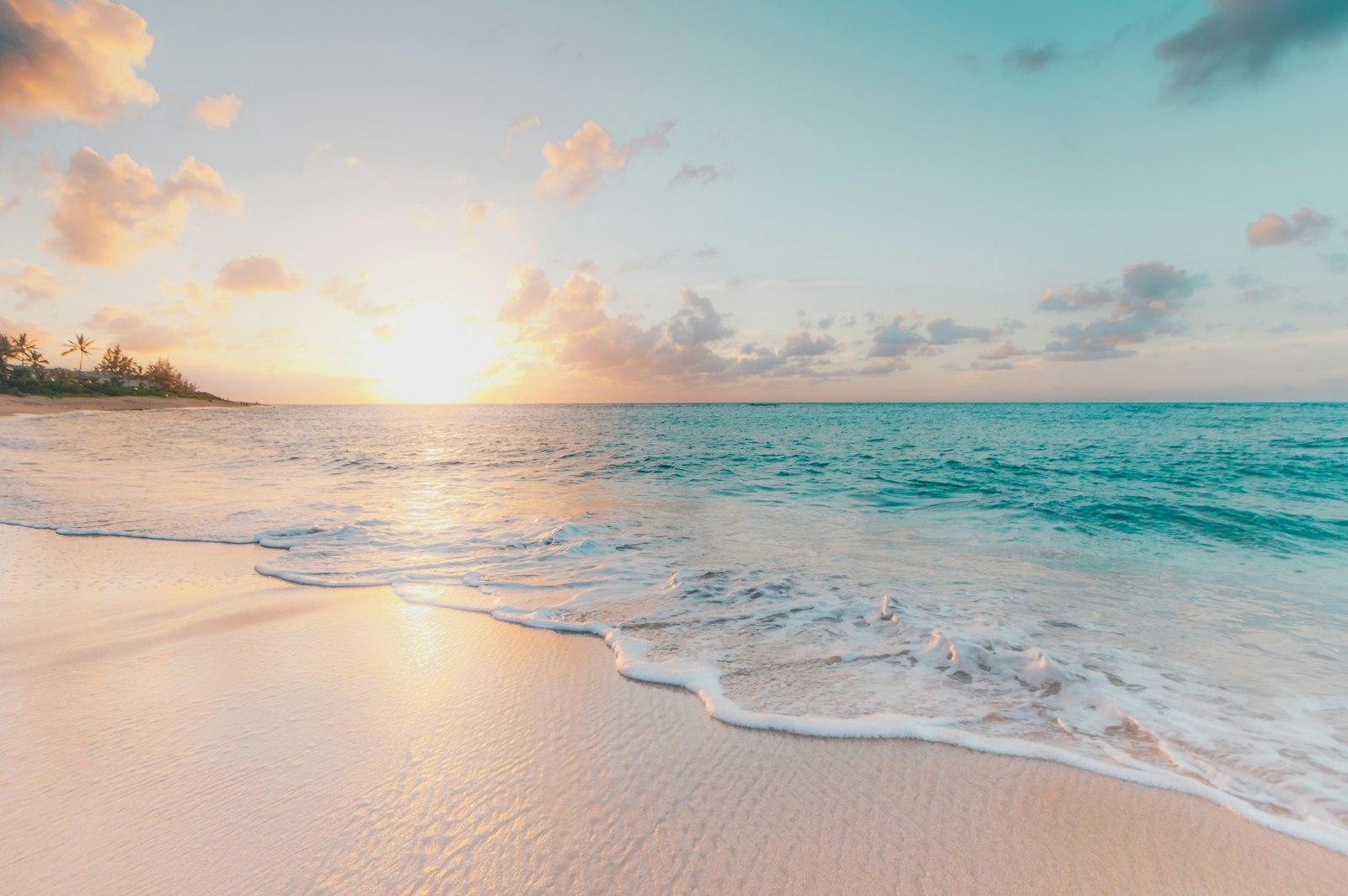 Tropical beach on a clear day