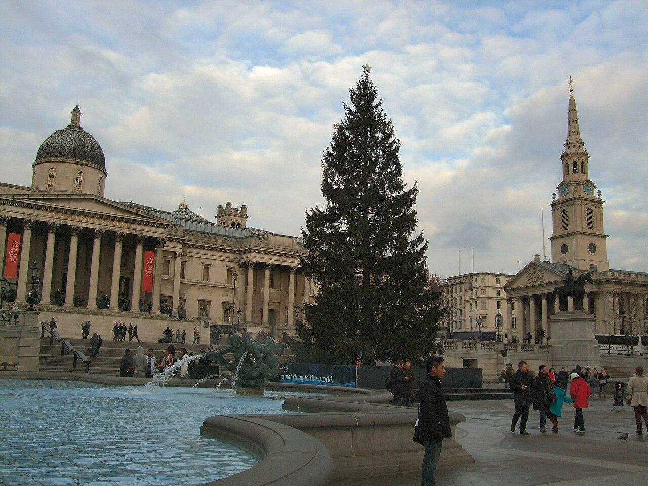 Christmas tree in Trafalgar Square, London