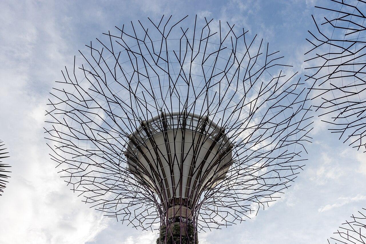 Supertree Grove at Gardens by the Bay