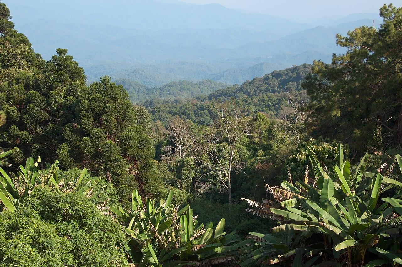 Doi Pui ridge west of Chiang Mai