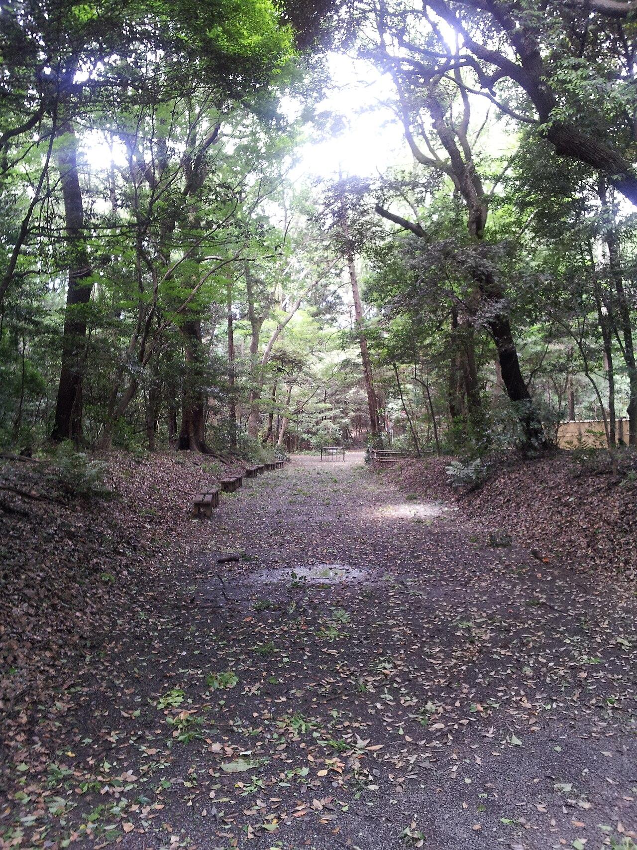 Gravel path through the forest at Meiji Jingu